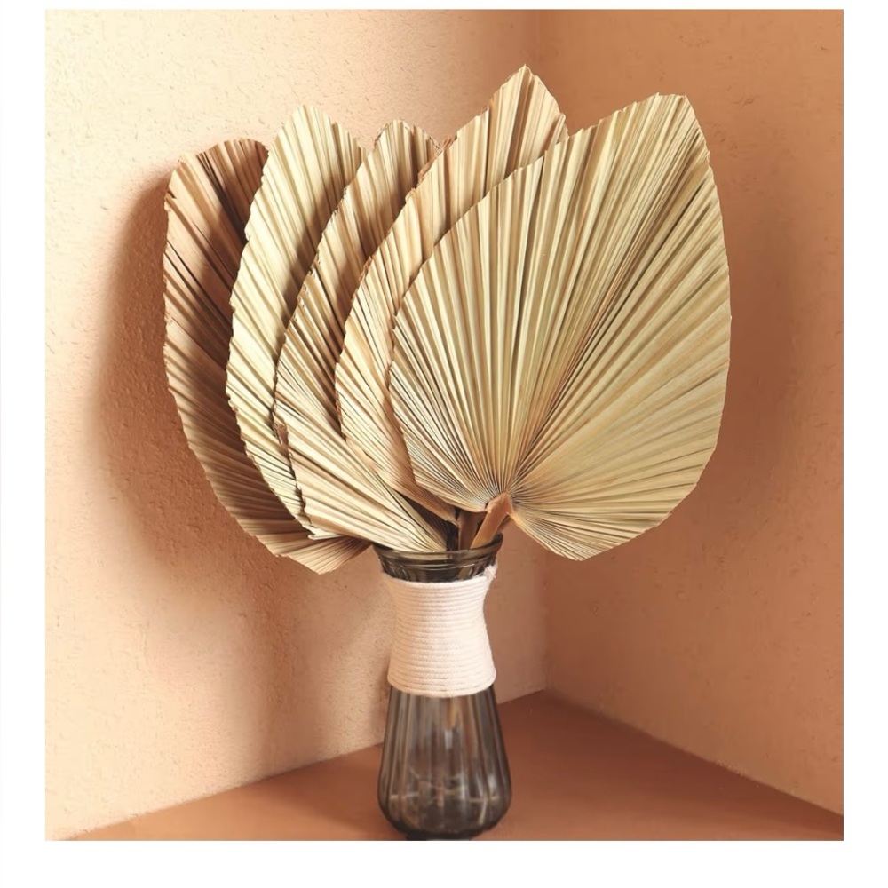 5 Pc Dried Palm Leaves 18" Large Natural Trimmed Palm Tropical Palm Leaves, NEW